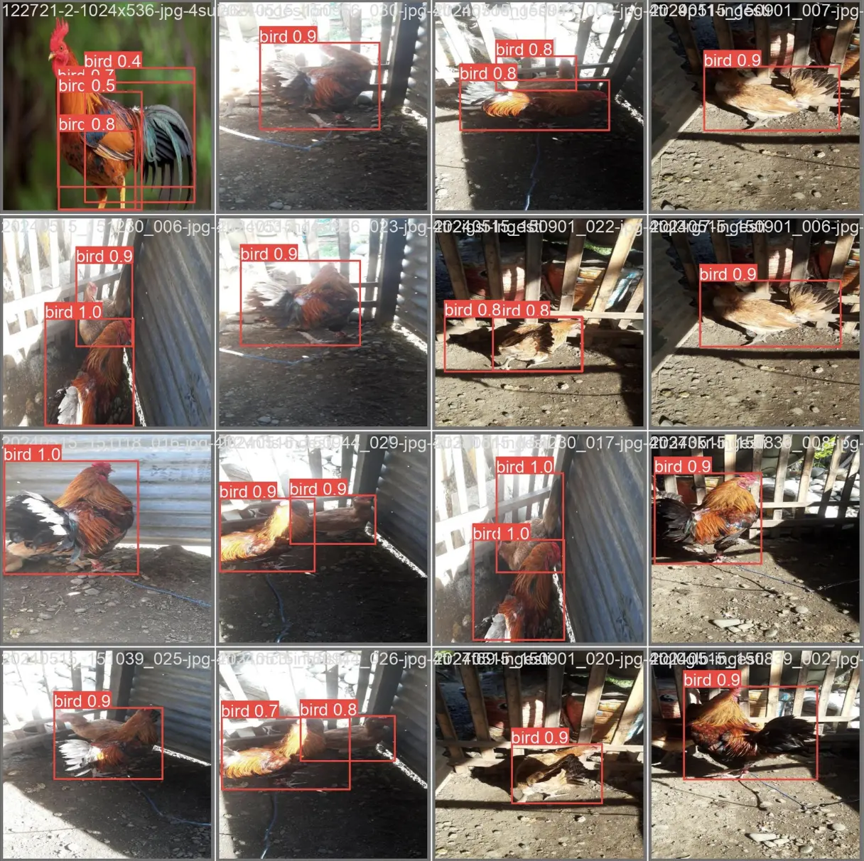 CluckTrack: IoT Coop Surveillance Mockup Preview